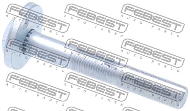 Болт с эксцентриком 0229-003