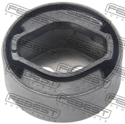 Сайлентблок TAB-AZT255DM (заднего дифференциала нижняя) Febest