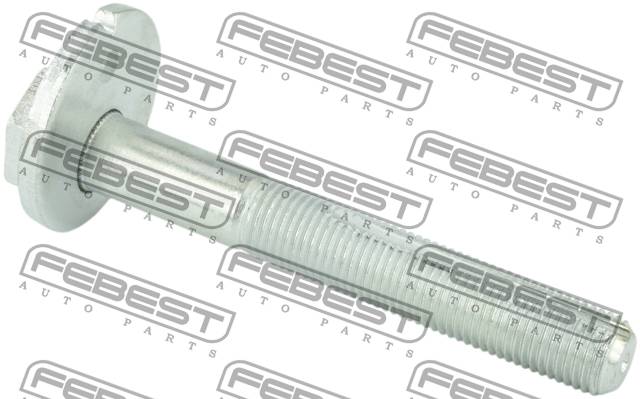 Болт с эксцентриком 0229-008