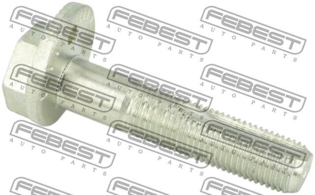 Болт с эксцентриком 0829-002 Febest