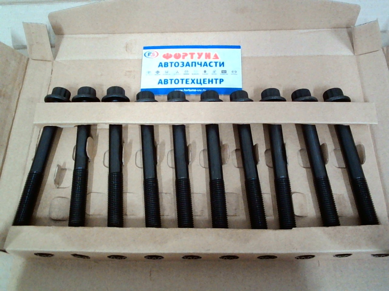 Болт ГБЦ R2, RF, WL (BTC009) (12X113)/в упаковке 10шт цена за упаковку/ TW