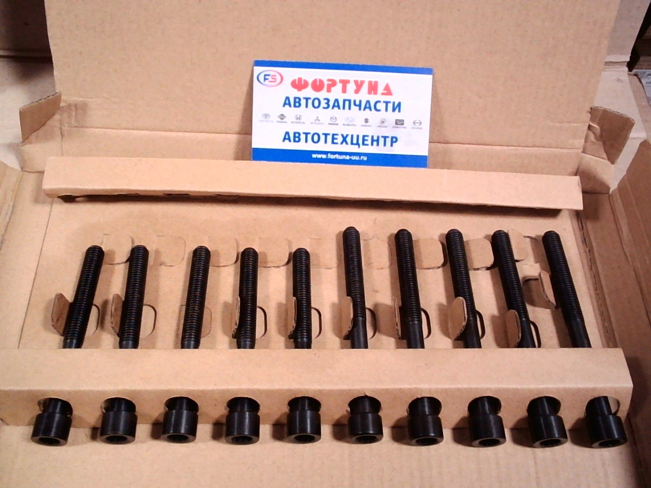 Болт ГБЦ 4E-FE,  5E-FE (BTC032) /в упаковке 10 шт/ 5 длинных + 5 коротких / цена за комплект/  DAGGER