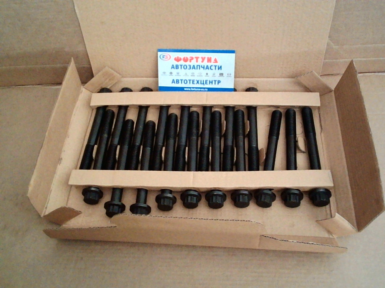 Болт ГБЦ BD30 (BTC030) /в упаковке 18 шт/  цена за упаковку/  DAGGER